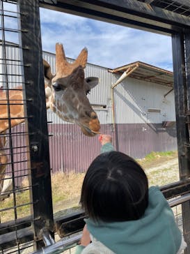 那須サファリパークに投稿された画像（2021/11/14）