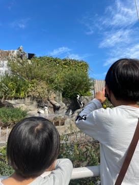 サンシャイン水族館に投稿された画像（2021/11/14）