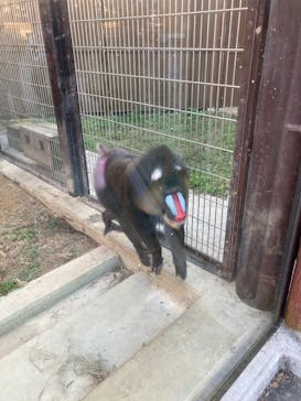 東武動物公園に投稿された画像（2021/11/14）