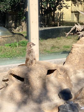 東武動物公園に投稿された画像（2021/11/14）