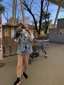 西武園ゆうえんちに投稿された画像（2021/11/14）