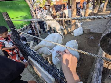 東武動物公園に投稿された画像（2021/11/14）