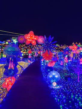 伊豆ぐらんぱる公園に投稿された画像（2021/11/14）