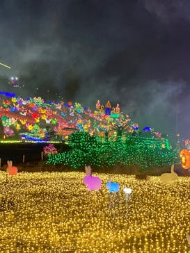 伊豆ぐらんぱる公園に投稿された画像（2021/11/14）