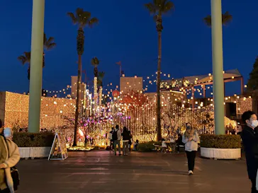 ひらかたパークに投稿された画像（2021/11/14）