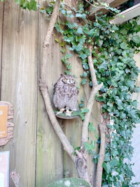 伊豆アニマルキングダムに投稿された画像（2021/11/14）