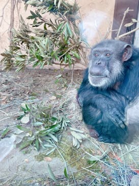 伊豆アニマルキングダムに投稿された画像（2021/11/14）