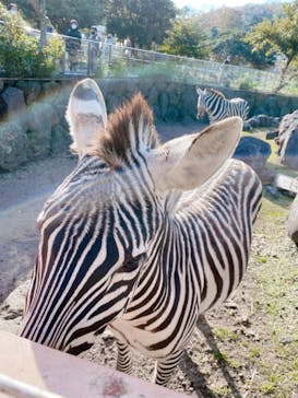 伊豆アニマルキングダムに投稿された画像（2021/11/14）