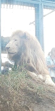 沖縄こどもの国に投稿された画像（2021/11/14）