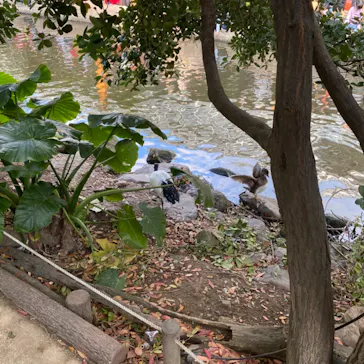 神戸どうぶつ王国に投稿された画像（2021/11/14）