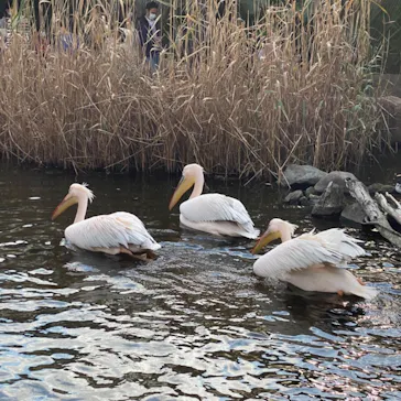 神戸どうぶつ王国に投稿された画像（2021/11/14）