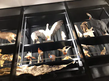 天王寺動物園に投稿された画像（2021/11/14）