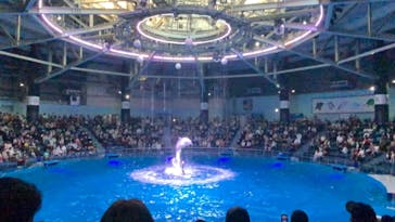 マクセル アクアパーク品川に投稿された画像（2021/11/14）