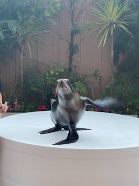 マクセル アクアパーク品川に投稿された画像（2021/11/14）