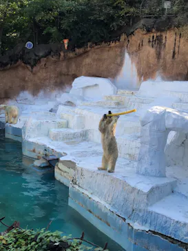 天王寺動物園に投稿された画像（2021/11/14）