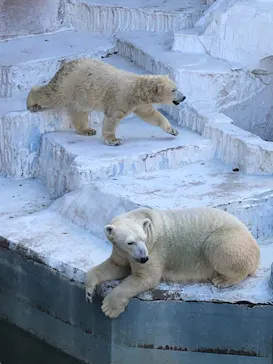 天王寺動物園に投稿された画像（2021/11/14）
