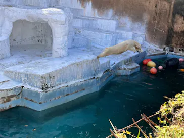 天王寺動物園に投稿された画像（2021/11/14）