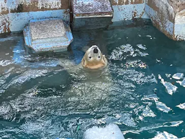 天王寺動物園に投稿された画像（2021/11/14）