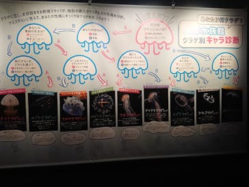京都水族館に投稿された画像（2021/11/14）
