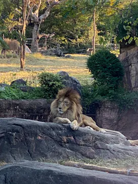 天王寺動物園に投稿された画像（2021/11/14）