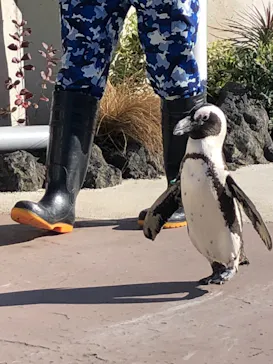 横浜・八景島シーパラダイスに投稿された画像（2021/11/14）