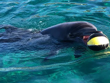 横浜・八景島シーパラダイスに投稿された画像（2021/11/14）