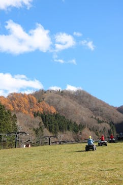 Buggy-pal（バギー パル）に投稿された画像（2021/11/14）