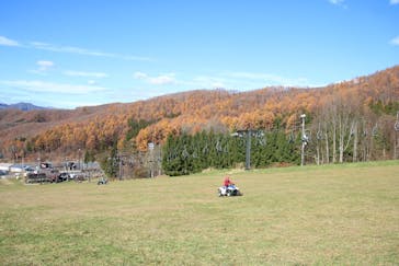 Buggy-pal（バギー パル）に投稿された画像（2021/11/14）