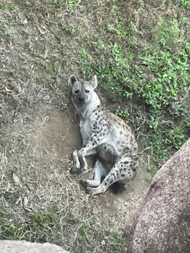 天王寺動物園に投稿された画像（2021/11/14）