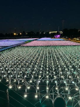 東京メガイルミに投稿された画像（2021/11/14）