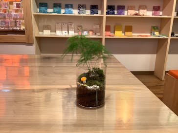 伊勢夫婦岩めおと横丁　めおと岩アクティビティに投稿された画像（2021/11/14）