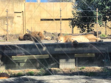 東武動物公園に投稿された画像（2021/11/14）