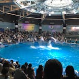 マクセル アクアパーク品川に投稿された画像（2021/11/14）