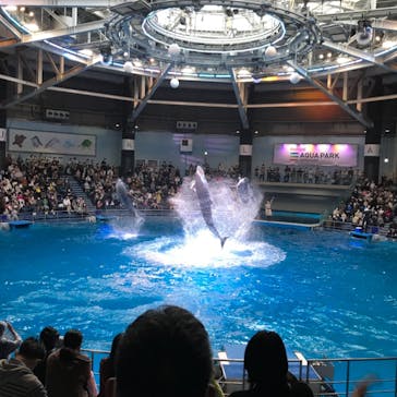 マクセル アクアパーク品川に投稿された画像（2021/11/14）