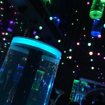 マクセル アクアパーク品川に投稿された画像（2021/11/14）