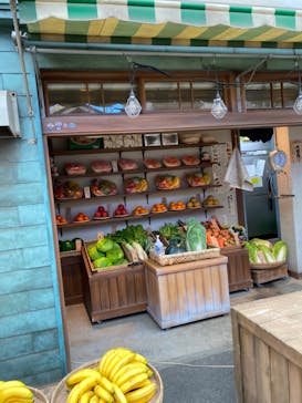 西武園ゆうえんちに投稿された画像（2021/11/14）