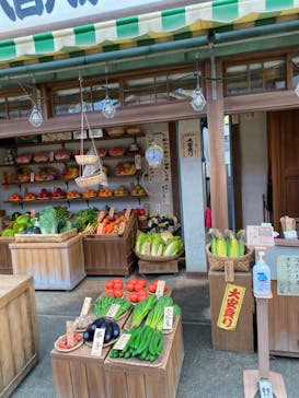 西武園ゆうえんちに投稿された画像（2021/11/14）