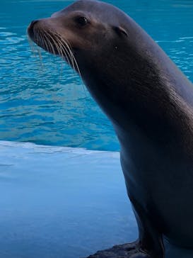 南知多ビーチランド＆南知多おもちゃ王国に投稿された画像（2021/11/14）