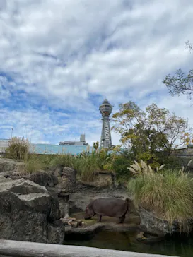 天王寺動物園に投稿された画像（2021/11/14）