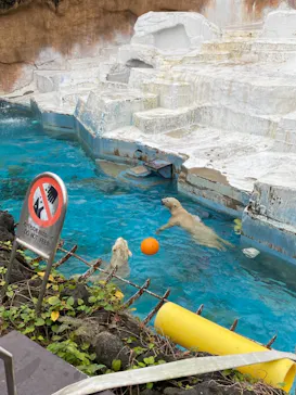 天王寺動物園に投稿された画像（2021/11/14）