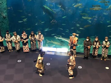 サケのふるさと 千歳水族館に投稿された画像（2021/11/14）