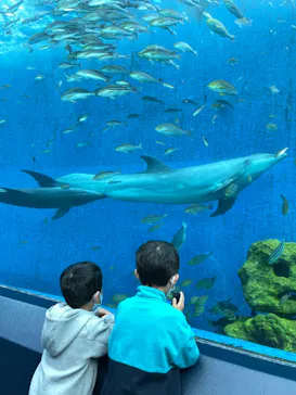 横浜・八景島シーパラダイスに投稿された画像（2021/11/14）