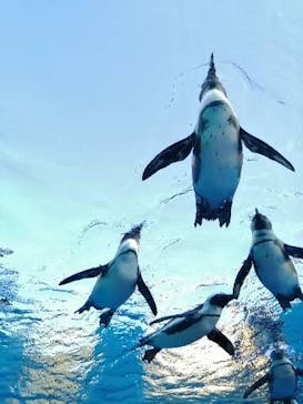 サンシャイン水族館に投稿された画像（2021/11/14）