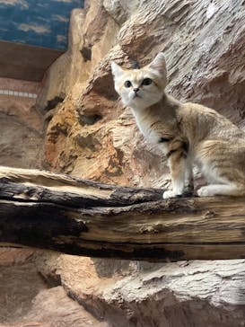 那須どうぶつ王国に投稿された画像（2021/11/14）