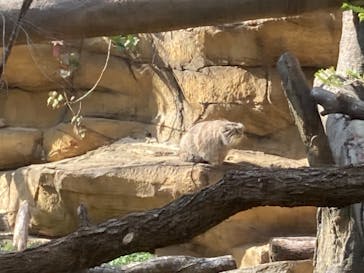 那須どうぶつ王国に投稿された画像（2021/11/14）