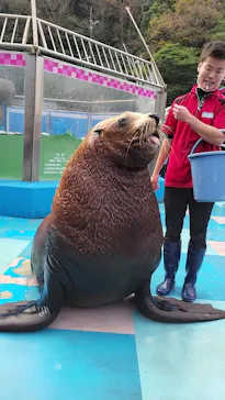 ゼロ距離水族館 伊勢シーパラダイスに投稿された画像（2021/11/14）