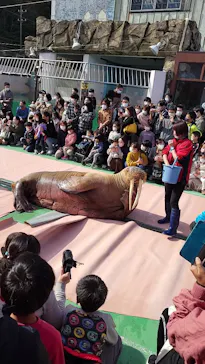 ゼロ距離水族館 伊勢シーパラダイスに投稿された画像（2021/11/14）