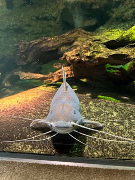 サンシャイン水族館に投稿された画像（2021/11/14）