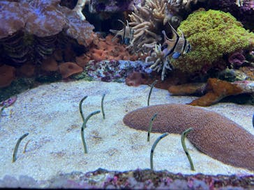 サンシャイン水族館に投稿された画像（2021/11/14）