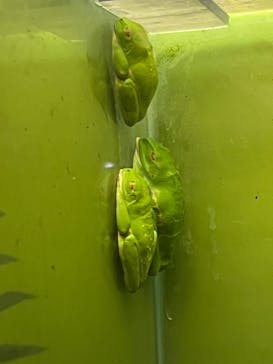 サンシャイン水族館に投稿された画像（2021/11/14）